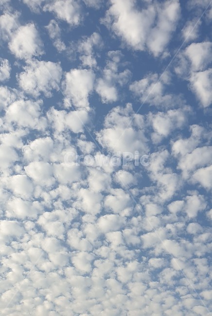 weather,날씨,구름,cloud,풍경,노을,경치,적운,푸른하늘,azuresky,하늘,nature,자연,outdoors,옥외,sky