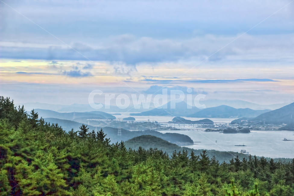 풍경,색감,자연,통영,경남,자연,풍경,nature,landscape,한국자연풍경,한국자연경관,korea nature landscape,tree,나무,plant,식물,abies,아비,fir,전나무,outdoors,옥외