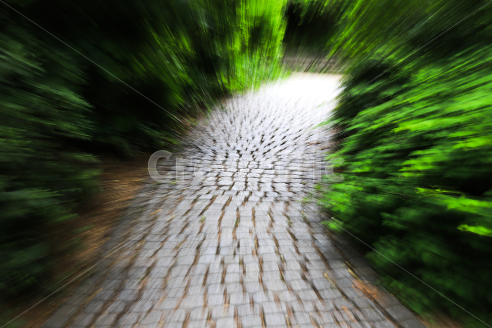 길,돌,돌벽돌,오솔길,나무,정원,초록색,자연,야외,공원,식물,자연,plants,nature,연출,컨셉,콘셉,direction,concept