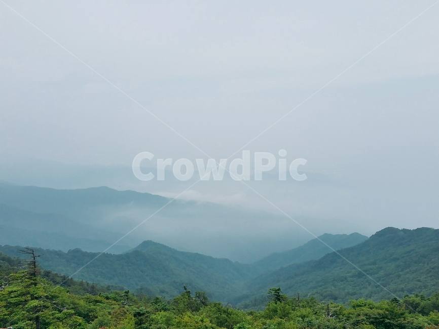 산,나무,안개,산안개,산봉우리,푸른색,한국,자연,자연환경,푸른산,파란산,mountain,korea,landscape,정상,신선,구름,파랑,파란색,blue