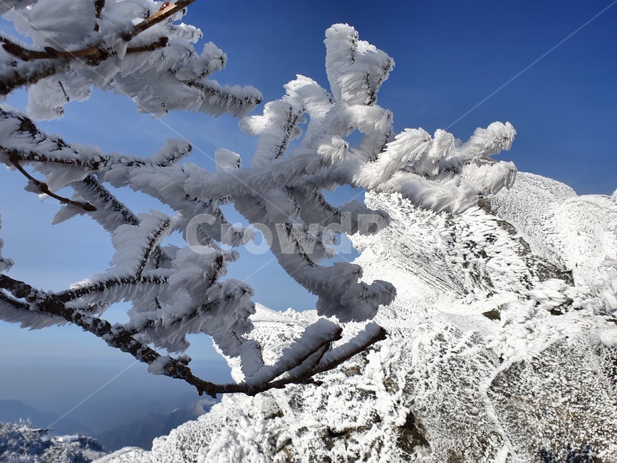 설산,눈,눈꽃,snowmountain,suricacid,tree,나무,plant,식물,outdoors,nature,자연,빙,ice,덕유산,겨울,계절,winter,season