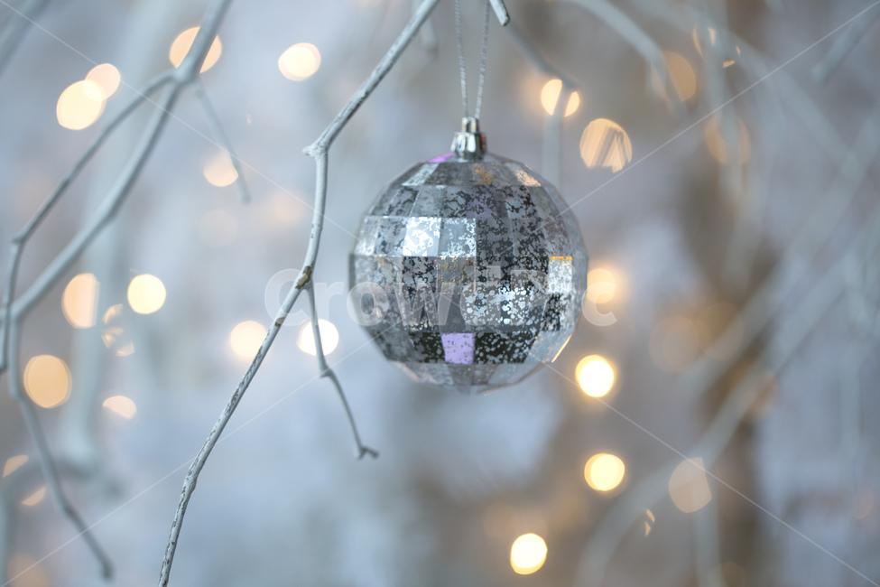크리스마스,성탄절,장식,메리크리스마스,크리스마스볼,볼,장식품,소품,원형,트리,하얀트리,빛,전구,꼬마전구,반사,보케,은색,실버,타원,겨울,계절,winter,season,축제,행사,festival,carnival,event,메리크리스마스,성탄절,merry christmas,사물,물건,오브젝트,thing,object,matter