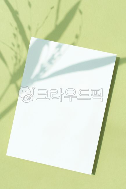 목업,카피스페이스,카드목업,실루엣,그림자,청첩장,인사카드,연하장,초대장,프레임,식물,메모,공백,메시지,보드,엽서,배경,종이,오브젝트,도안,삽화,나뭇잎,잎,leaf,화이트보드,캔버스,그린,연두,봄