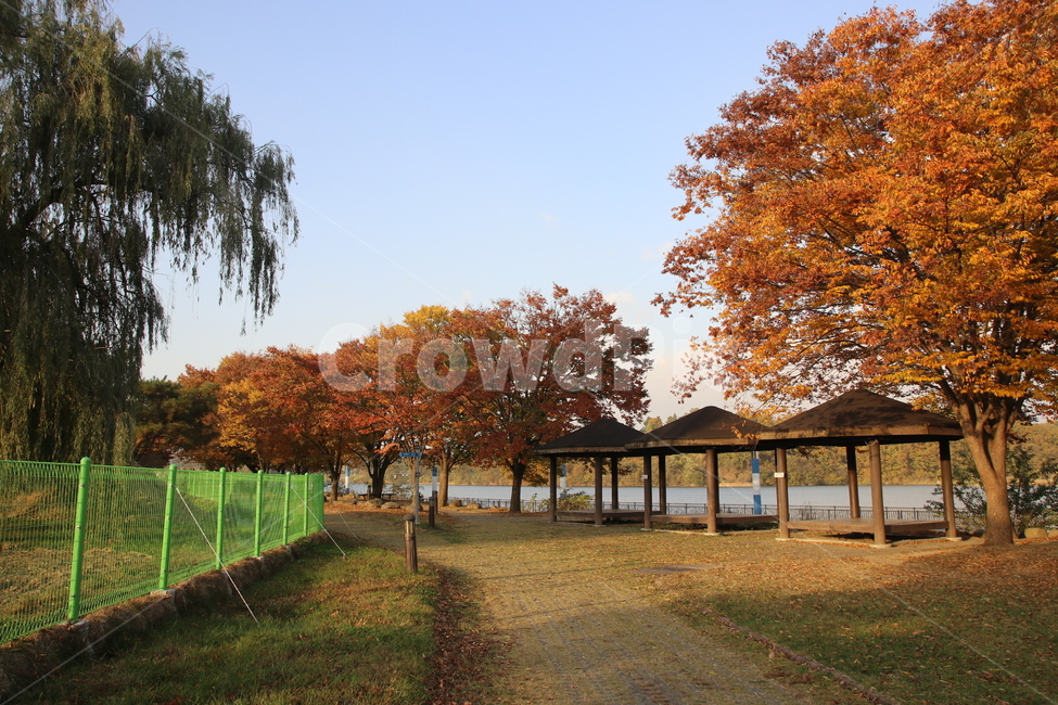 산책로,공원,단풍,가을,낙엽