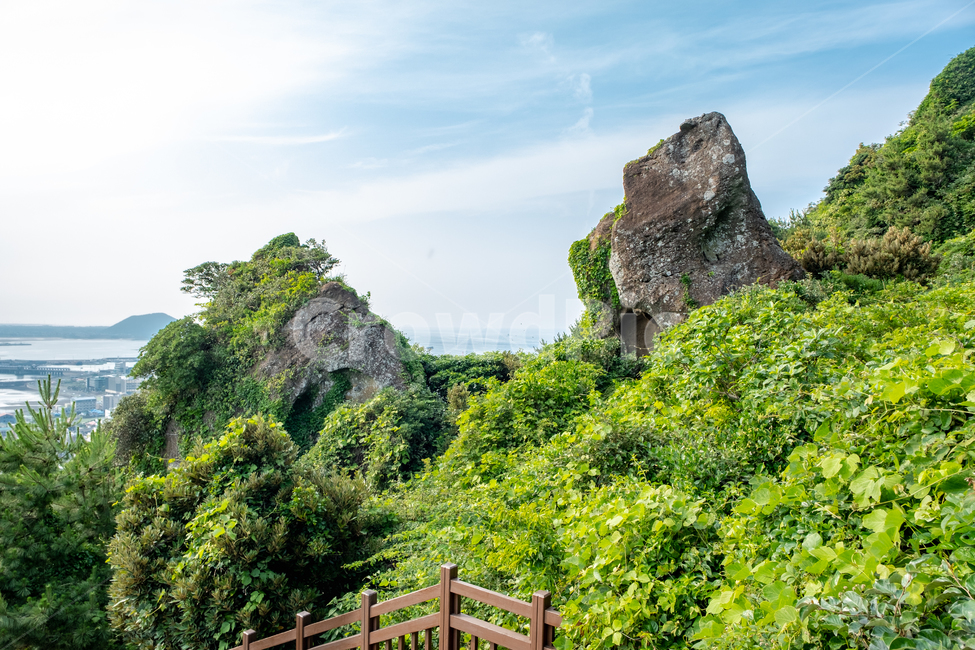 제주,제주도,성산일출봉,풍경,아름다운풍경,바다,섬,nature,land,jeju,경치,자연,올레길,바위,풀,산,outdoors,자연,풍경,nature,landscape,제주도,jeju,jeju island,옥외