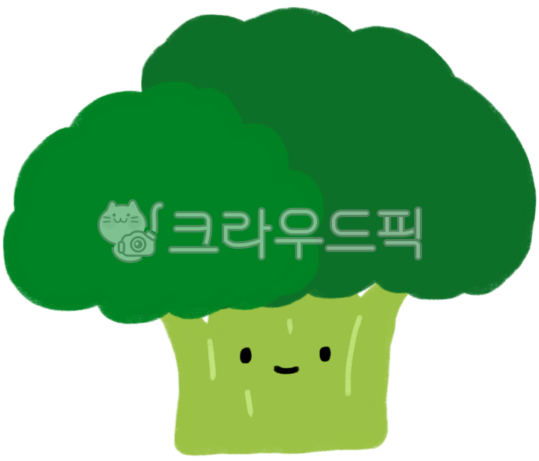 야채,채소,농산물,요리재료,브로콜리