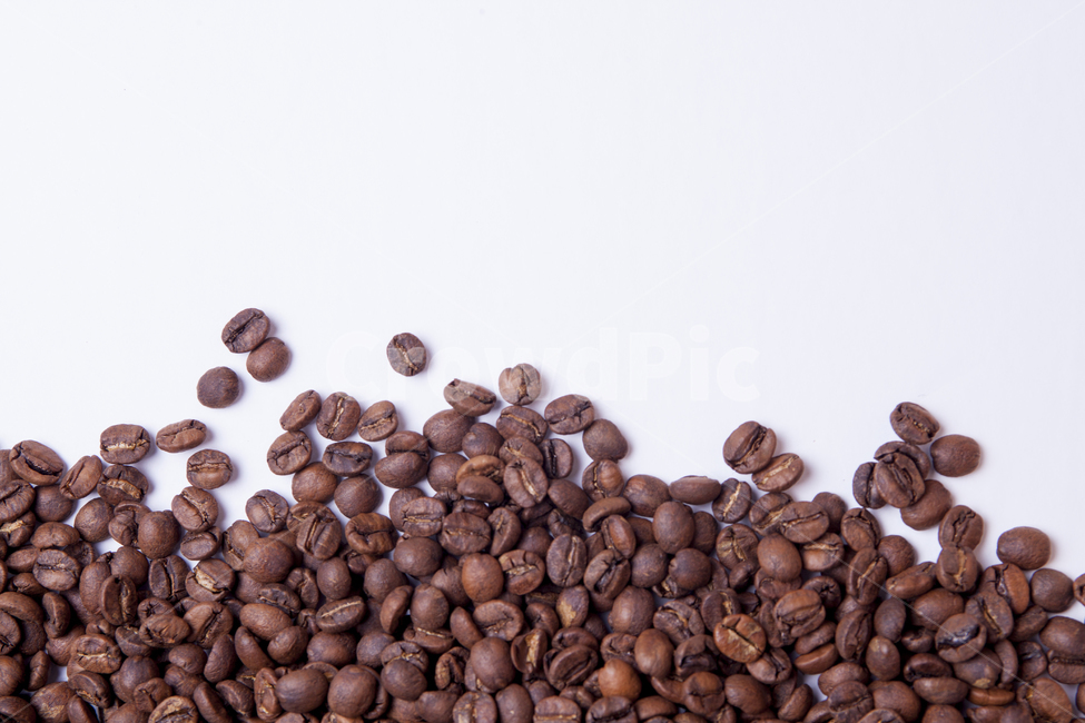커피,커피빈,키피콩,카페,아라비카,로부스타,배경,커피,카페,coffee,cafe