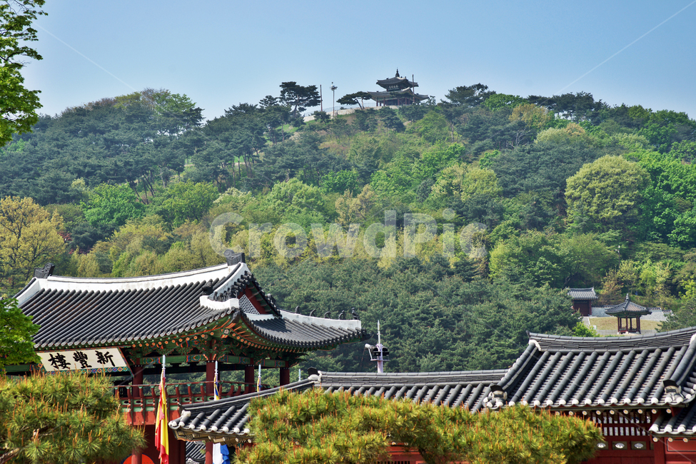 신풍루,정문,팔달산,수원,화성,유네스코세계문화유산,기와,수원장대