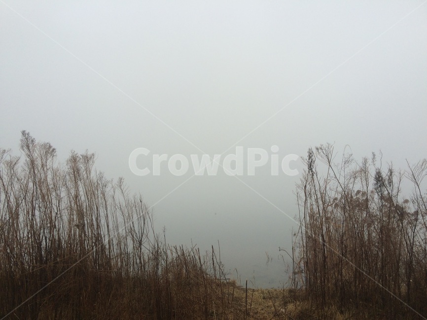 하늘,갈대,가을,감성사진,강,물,안개,자연,풍경,nature,landscape,weather,날씨,outdoors,옥외