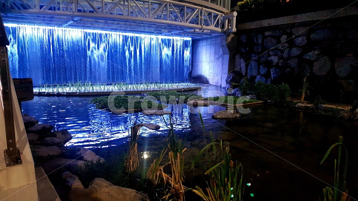 심곡천,led,빛,하천,내천