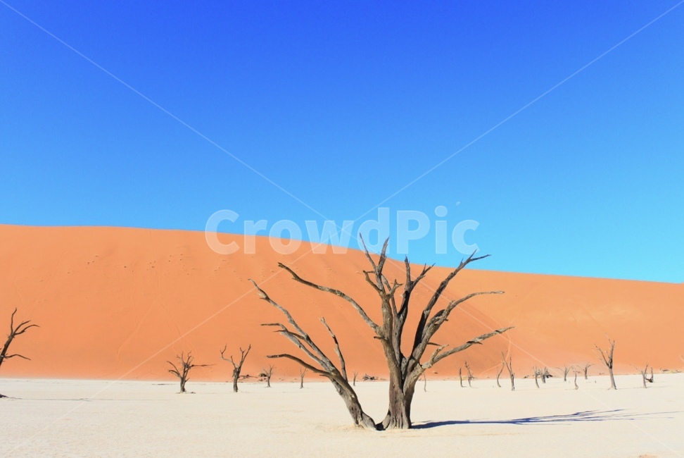 soil,흙,sand,모래,nature,자연,outdoors,옥외,dune,모래언덕,사막,desert,세계자연풍경,해외자연풍경,외국자연풍경,world nature landscape
