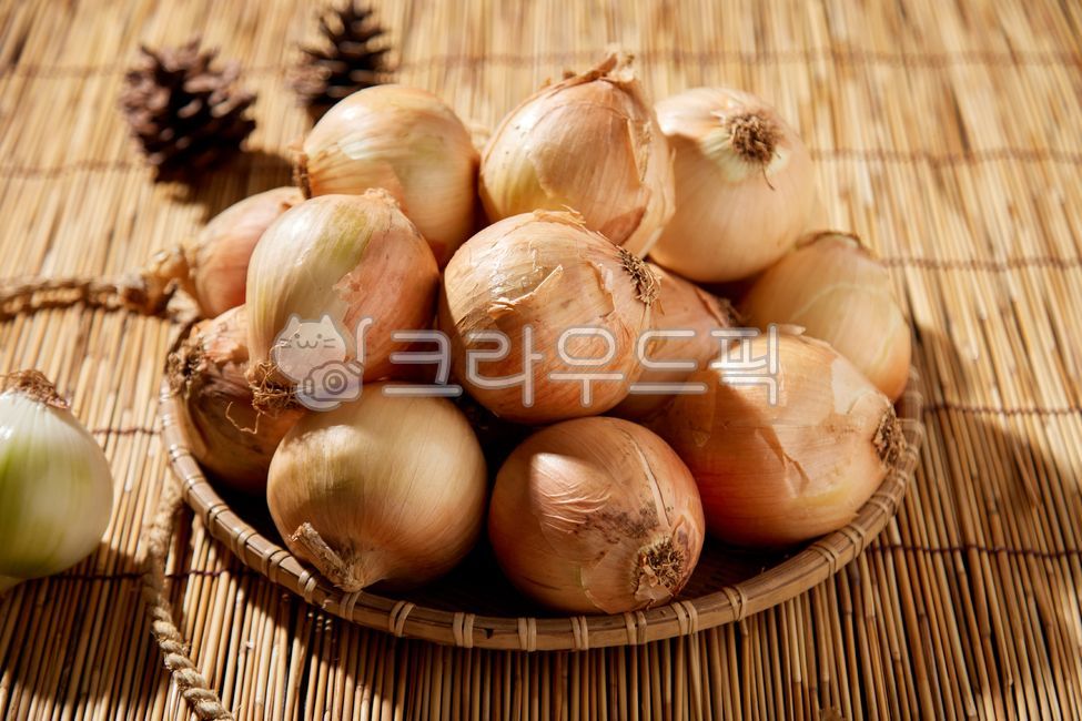 양파, 노랑양파, vegetable, onion, 야채, 사진,이미지,일러스트,캘리그라피 - gragoribak작가
