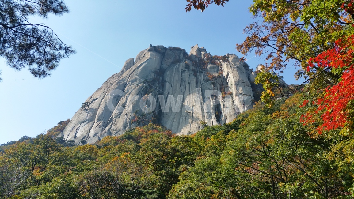 가을,도봉산,바위,암벽,자연,가을,계절,fall,autumn,season,자연,풍경,nature,landscape,cliff,낭떠러지,outdoors,옥외