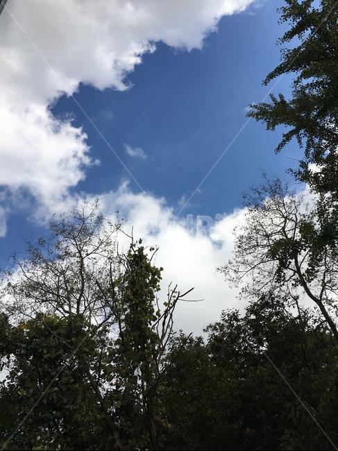 nature,자연,outdoors,옥외,풍경,하늘,가을하늘