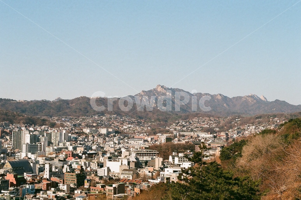 서울,낙산공원,풍경,필름사진,필름카메라,seoul,film,filmcamera,도시,풍경,city,landscape,한국도시풍경,한국도시경관,korea cityscape,경치,nature,자연,outdoors,옥외,scenery,aerial view,조감도
