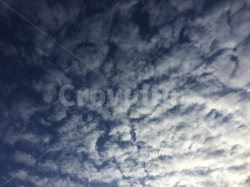 하늘,구름,파란,뭉게뭉게,빛,자연,풍경,nature,landscape,outdoors,옥외,cloud,sky,cumulus,적운,weather,날씨