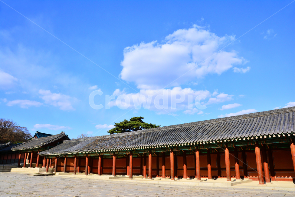 한국전통,고궁,궁궐,창덕궁,전통,배경,바탕,백그라운드,korean,traditional,ancientpalace,spring,시즌,계절,조선시대,건축물,서울,기와집,하우스,집,한국적,코리안,하늘,뭉게구름,청명,한국전통,한국문화,korean traditional,korean culture,랜드마크,landmark,tourist attraction,한국랜드마크,한국관광지,한국명소,korea landmark,korea tourist attraction,건축물,건물외관,exterior,building,structure,architecture,construction