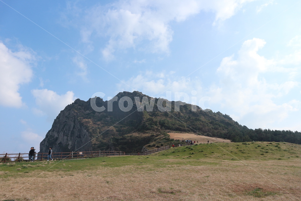 nature,outdoors,grassland,들,목초지,자연,제주도,하늘