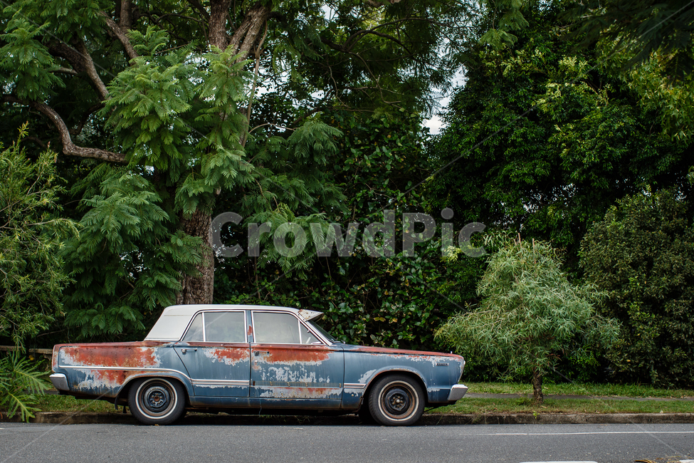 자동차,나무,녹,주차,car,parking,rust,tree,old