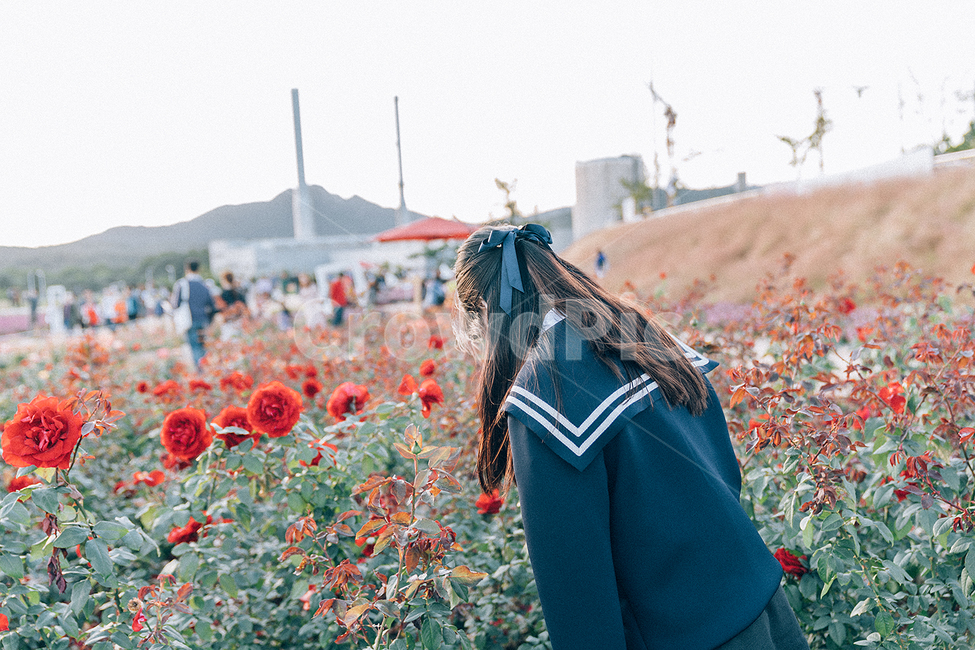 양주,나리공원,장미,꽃,portrait,가을,계절,fall,autumn,season,사람,인물,인간,human,person,여성,여자,woman,female,lady,감성,sensible,feeling