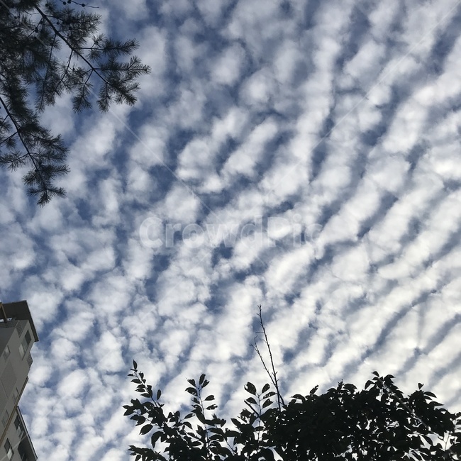 구름,cloud,sky,하늘,weather