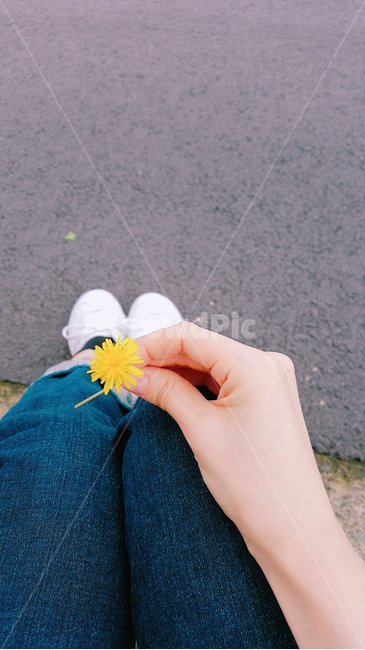 김성사진,손,도로,하얀신발,민들레,청바지,하얀운동화
