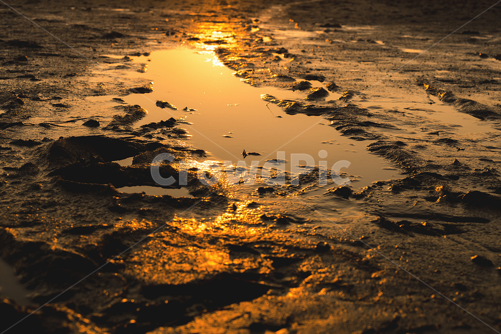일몰,순천,해변,갯벌,갯벌작업장,솔섬,해변,바다,beach,sea