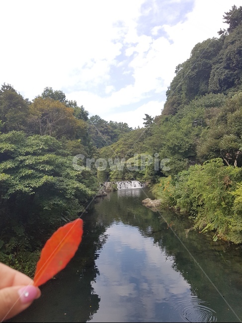 낙엽,잎사귀,단풍,붉은색,하늘,자연,구름,강,산,손가락,사람손,손,네일,제주도,가을,가을,계절,fall,autumn,season,자연,풍경,nature,landscape