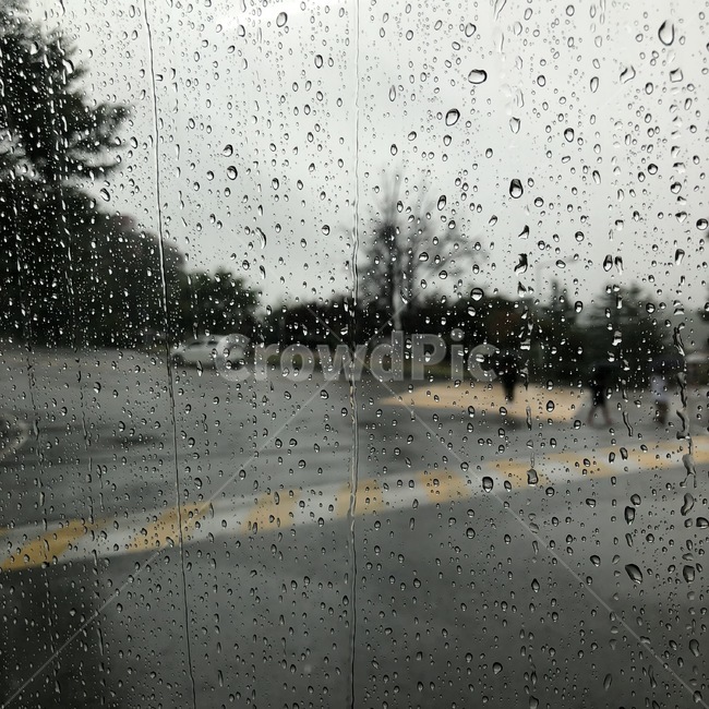 비,감성,창문,rain,정방형,비,비오는날,rain,rainy