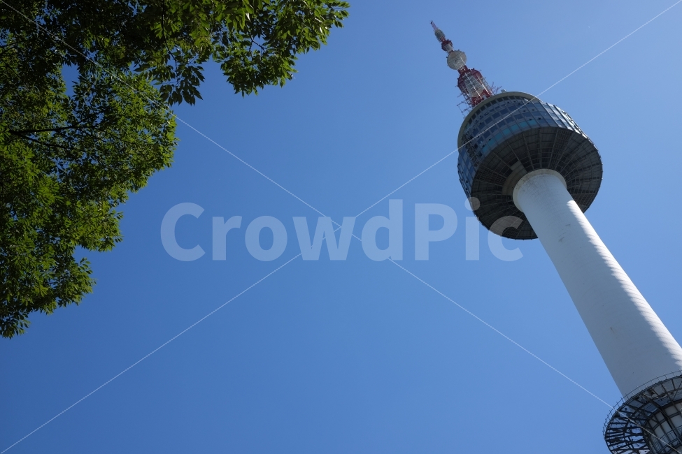 서울,남산,남산타워,하늘,나뭇잎,맑음,랜드마크,landmark,tourist attraction
