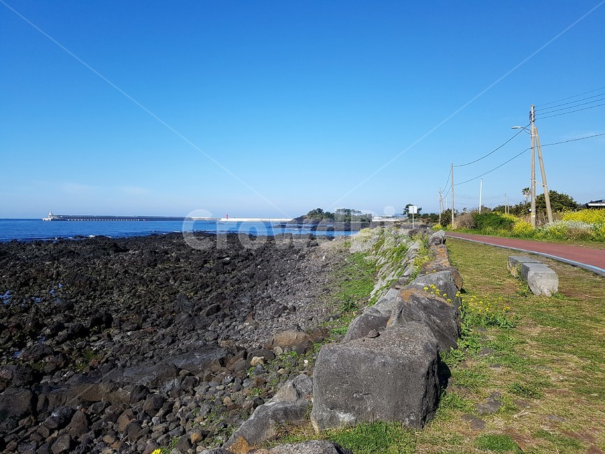 제주도,산책,해변,현무암,바다,여유