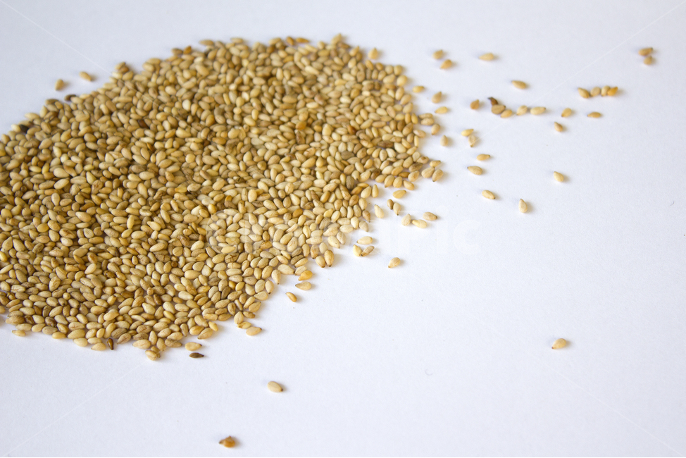 brown,closeup,dry,dummy,food,gold,grain,macro,meal,natural,nature,organic,plant,seed,seeds,sesame,sesameseed,sesameseeds,top,topangle,topview,yellow,깨,참깨,곡식,곡류,음식,음식재료,식재료,식물,씨앗,씨,갈색,브라운,말린,말리는,건조,자연,클로즈업,탑앵글,탑뷰,깨소금,농작물,농촌,농사,흰배경,음식,식재료,요리,food,cook,meal,dishes,food reserves,곡류,곡식,cereals