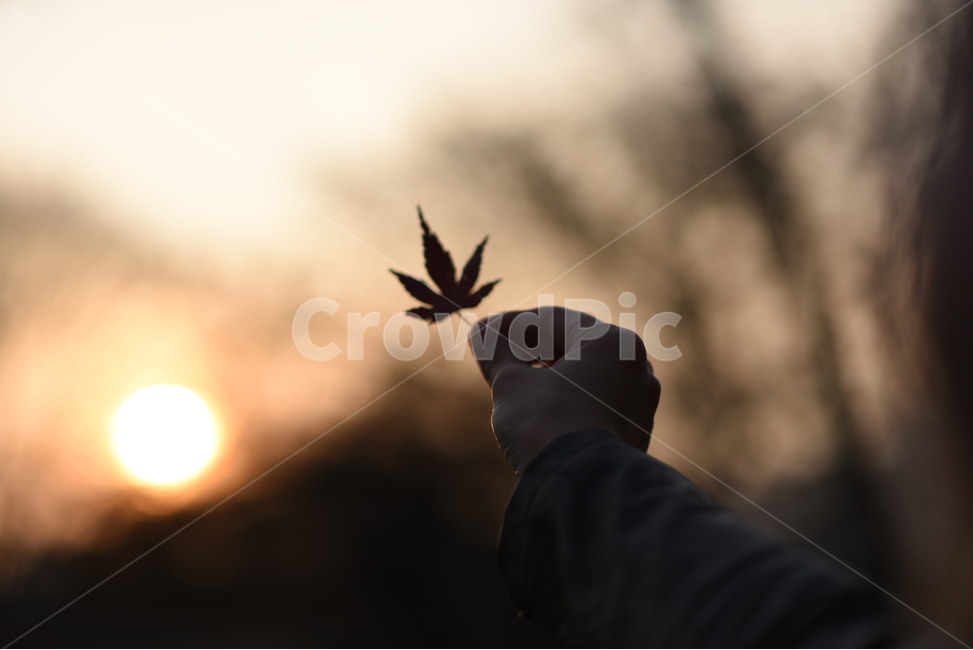 가을감성,해질녘,가을,감성사진,풍경,자연,가을,계절,fall,autumn,season,사람,인물,인간,human,person,신체일부,몸,body,plant,식물,leaf,잎
