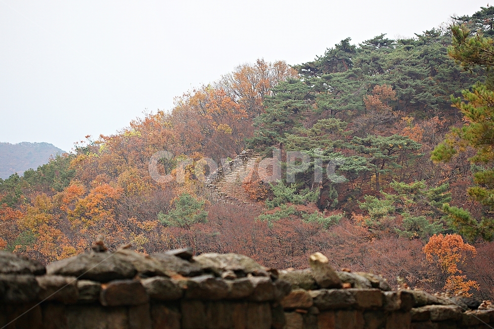 전등사,성,성곽,산성,둘레길,길,숲,숲길,담,돌담,가을,자연,풍경,벽,방어벽,낙엽,단풍,가을,계절,fall,autumn,season,자연,풍경,nature,landscape