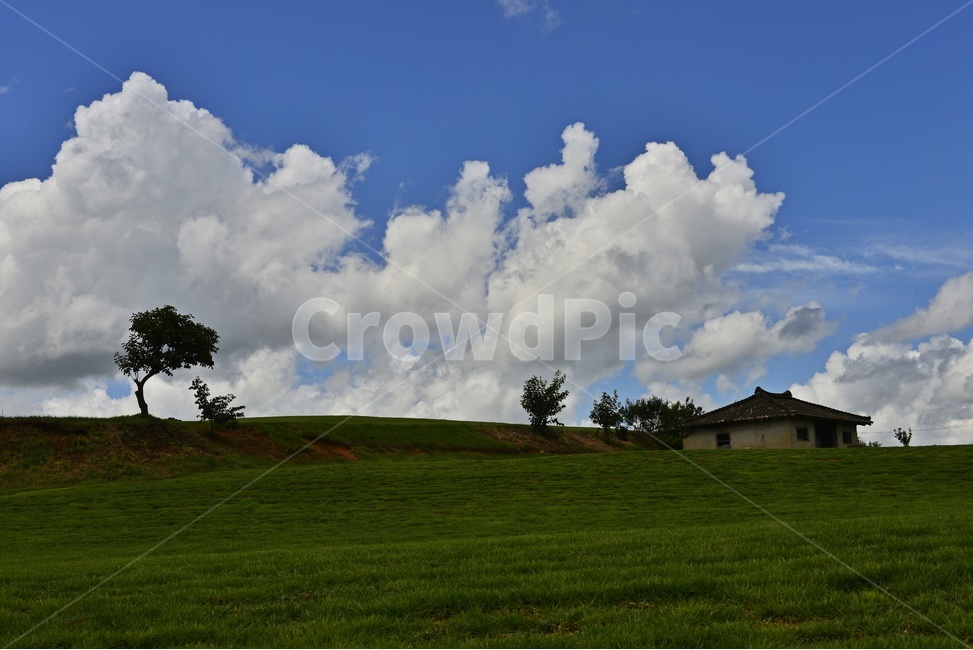 장성,삼서,외딴집,구름,nature,자연,outdoors,옥외,plant,식물,grass,잔디,grassland,목초지,field,들,weather,날씨,집,경치,경관,풍경