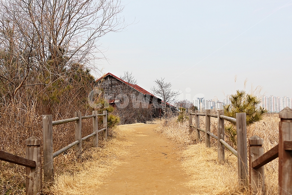 소금창고,염전,건물,창고,소래습지생태공원,갈대,억새,건축물,겨울,식물,자연,풍경