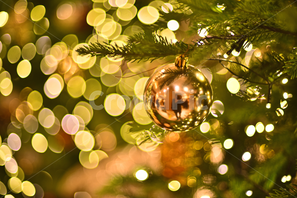 크리스마스,성탄트리,년말장식,성탄절,christmas,xmas,decoration,tree,ball,성탄볼,보케,빛망울,화려한,칼라풀,조명,불빛,라이트,색감,colorful,light,bokeh,배경,바탕,백그라운드,background,나무,장식,christmastree,크리스마스트리,plant,식물,메리크리스마스,성탄절,merry christmas