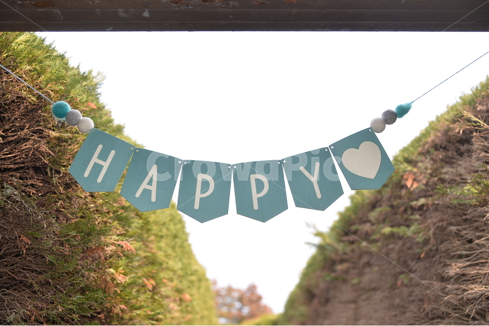 해피,행복,제주도,2월,나무