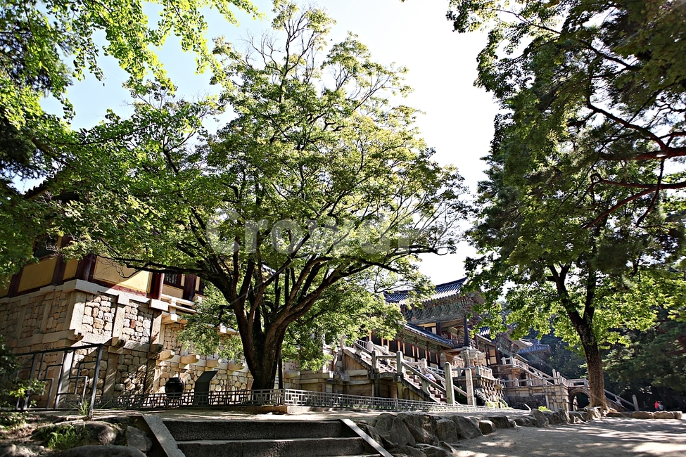 불국사,경주,절,사찰,국보,보물,전통,기와집,집,한옥
