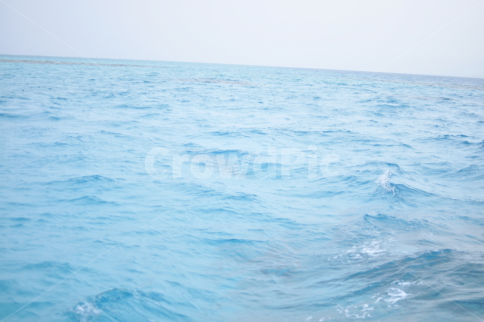 물,바다,자연,대양,sea