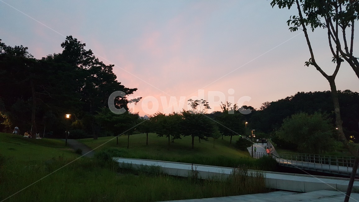 오후,자연,공원,해질녘,잔디,나무,하늘