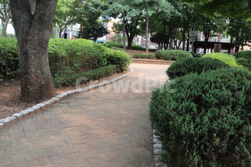 돌길,공원,산책로,공원길,자연,park,Walkingtrails,Nature,오후,한가함,여유,휴식