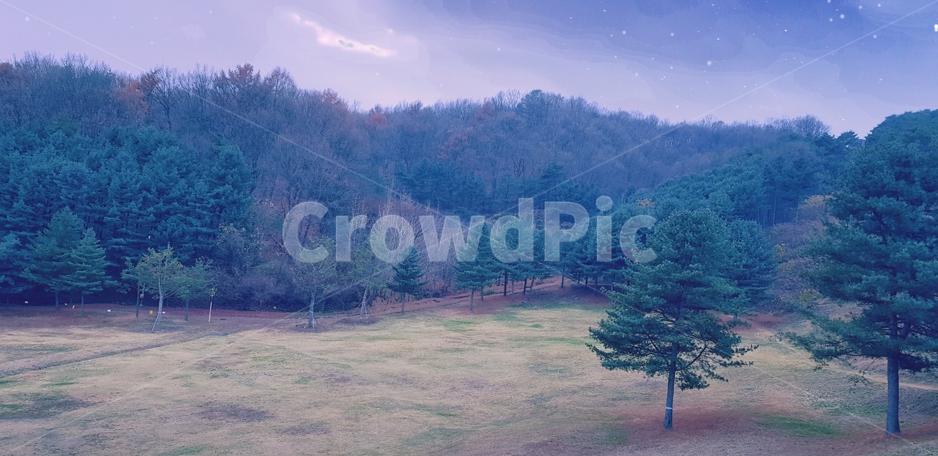 몽환,숲,산,plant,식물,tree,나무,풍경,nature,자연,푸른,초록