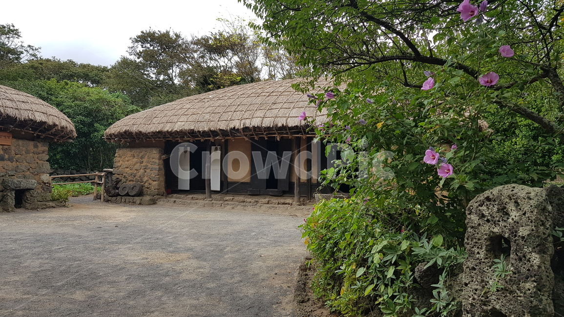 한국,한옥,대한민국,한국적,korea,nature,자연,건물,오두막,농촌