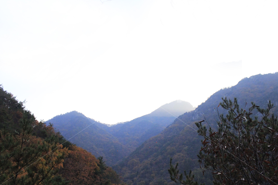 가을,낙옆,단풍,다채로운,산맥,산,등산