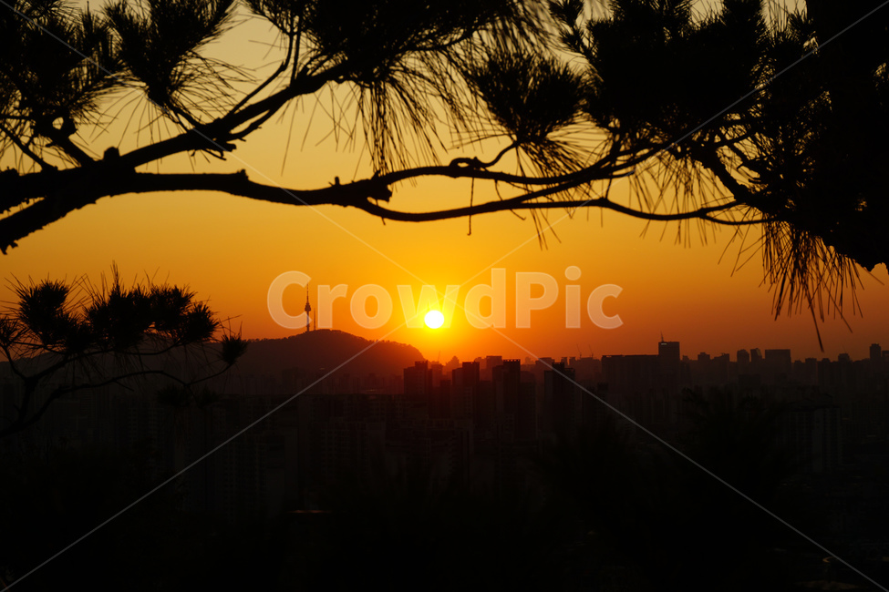 nature,자연,sunlight,햇빛,하늘,sunset,붉은하늘,redsky,outdoors,자연,풍경,nature,landscape