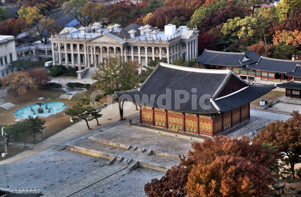 덕수궁,궁궐,가을,자연,도심,중화전,석조전,한국전통,한국문화,korean traditional,korean culture