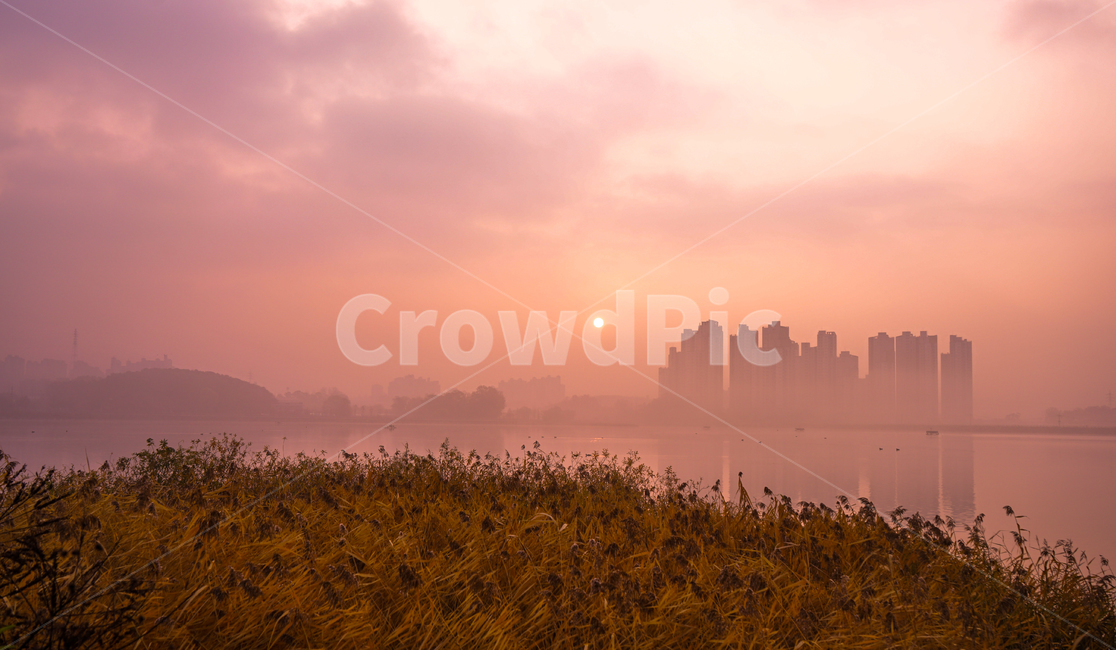 호수,안개,아파트,건물,물안개,아침,풍경,자연,도시,풍경,city,landscape,한국도시풍경,한국도시경관,korea cityscape,nature,weather,날씨