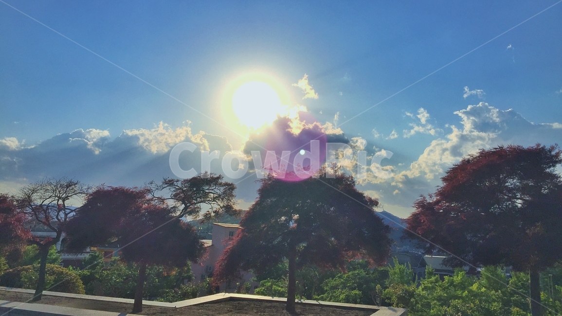 태양,하늘,구름,풍경,햇살,햇빛,빛,light,파란,평화로운,평화,sky,cloud,sunshine,자연,nature,경치,landscape,scenery