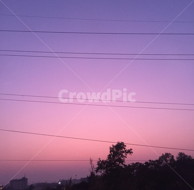 하늘,sky,보라색,purple,선,line,나무,tree